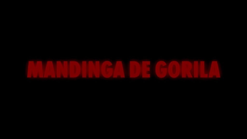MANDINGA DE GORILA